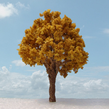 model trees